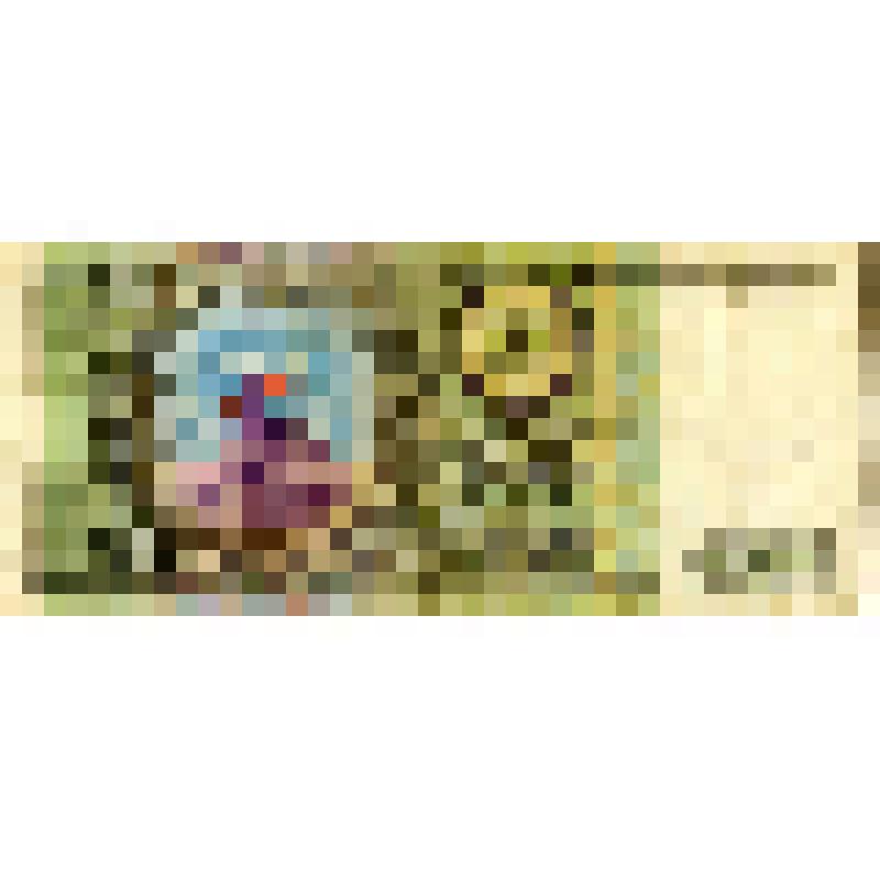 Билет Банка России