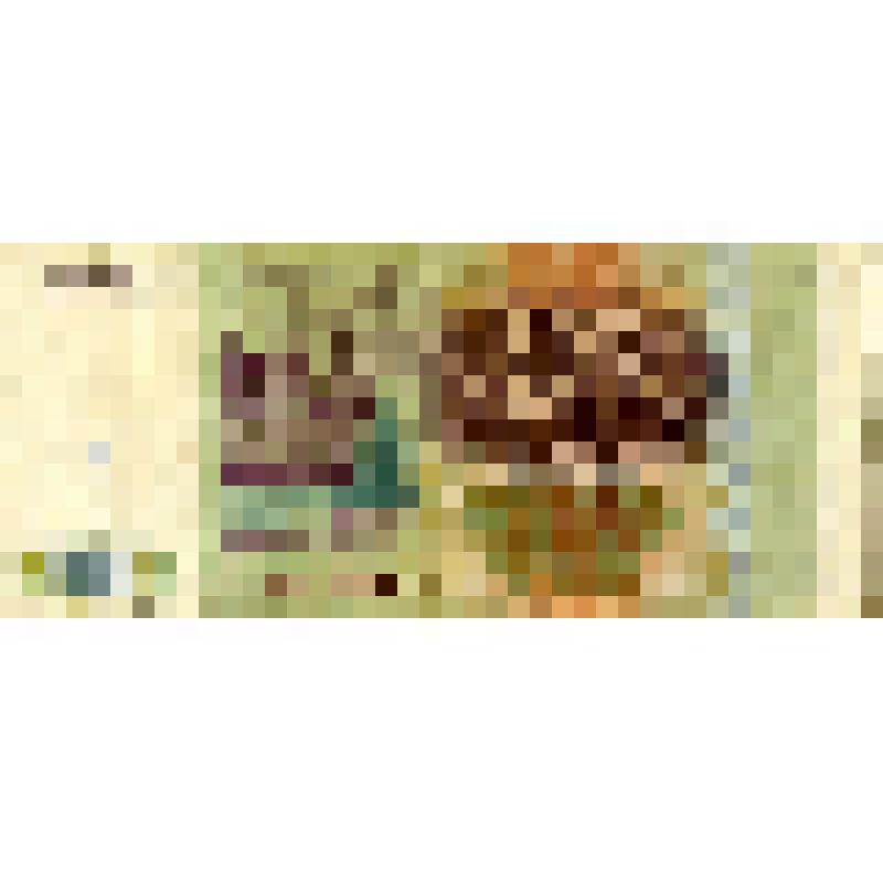 Билет Банка России