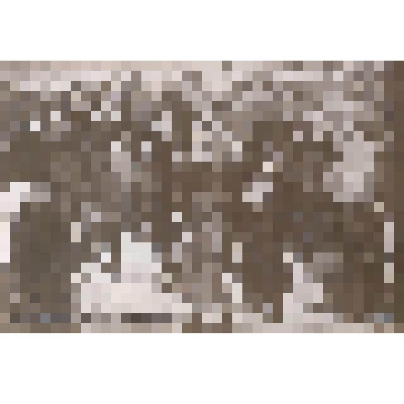 "Похороны демонстранта"