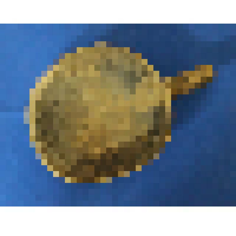 Ковш