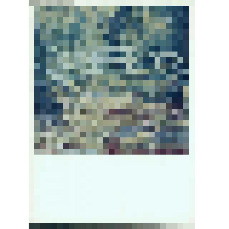 Белые кувшинки. 1899 г. Репродукция картины Клода Моне. Государственный музей изобразительных искусств имени А.С. Пушкина