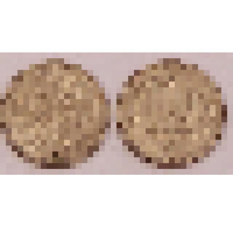 Монета  "10 рублей"