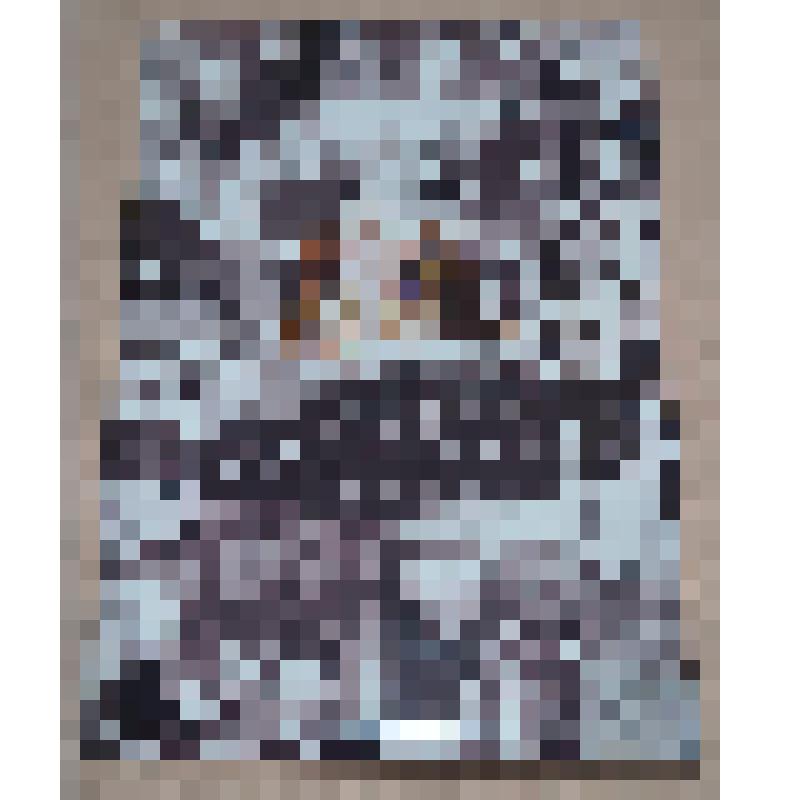 Книга «Учитель в солдатской шинели»