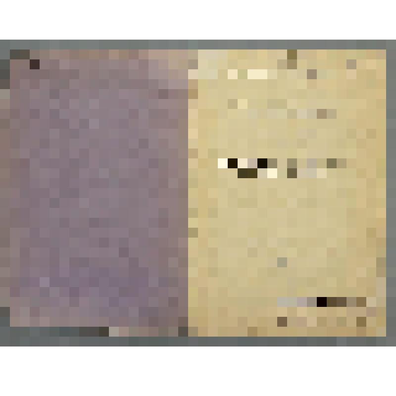 Труды. Законы течения воды в реках и каналах, а также вывод формул для определения скоростей и расходов / В. Косткевич; пер. с польск. Ф.Г. Левандовский. - СПб.: Тип. И. Усманова, 1907. - 68 с. - (Труды Имп. О-ва Судоходства)