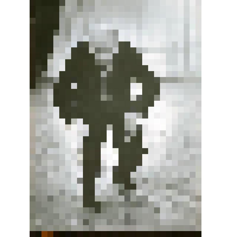 Фотография. К. Голейзовский, 1965 г. На репетиции. Рост, фас, стоит, наклонившись вперед, руки согнуты в локтях. В темном костюме. На заднем плане - балетный станок