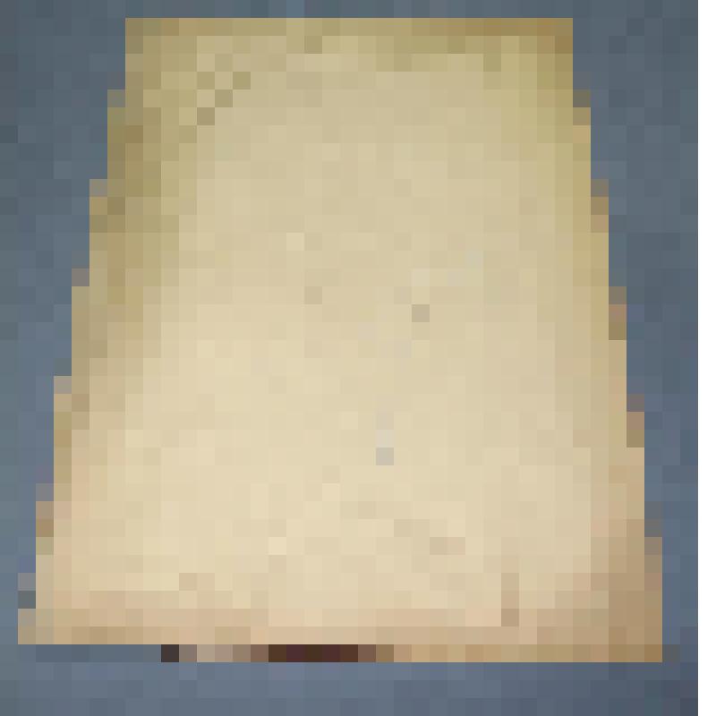 Ботаническая коллекция. Пшеница  ветвистая от академика Якушкина, семейство злаковые, на гербарном листе, г.Абакан,огород  по ул. Кирова, 55