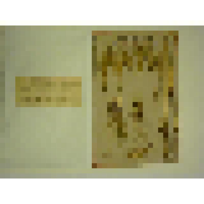 Ботаническая коллекция. Пшеница  ветвистая от академика Якушкина, семейство злаковые, на гербарном листе, г.Абакан,огород  по ул. Кирова, 55