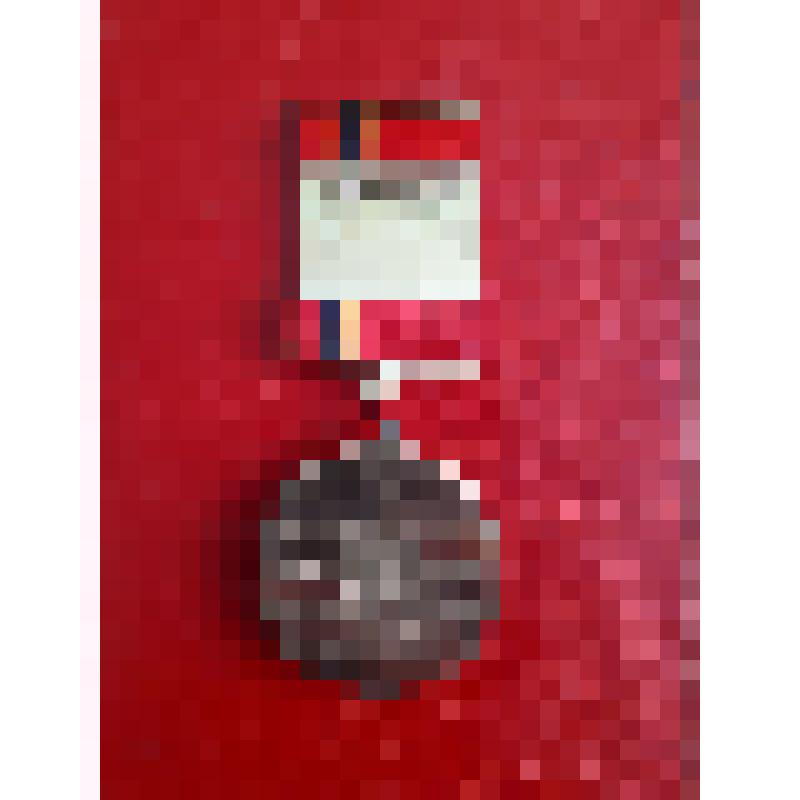 Медаль "60 лет Победы" - Отарова Магомеда Муратовича