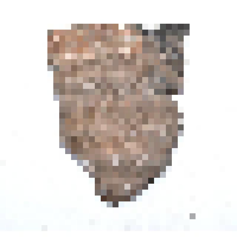 Сосуд (фрагмент)