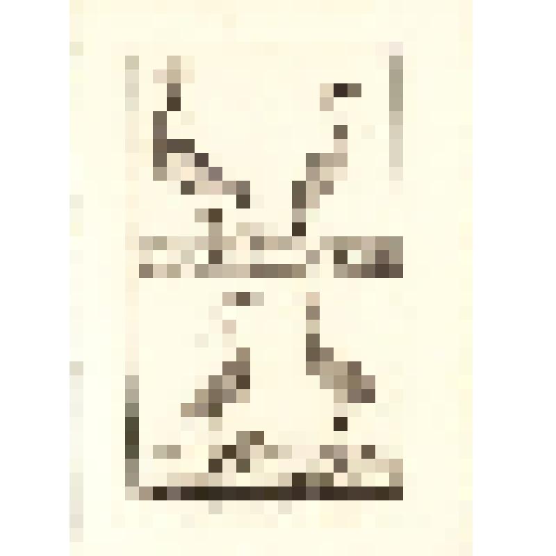 "Histoire Naturelle. Pl. XIV. Fig. 1. La Grue. Fig. 2. La Demoiselle de Numidie. Fig.3. Le Heron pourpre  Hupe. Fig.4. L'Oiseau Royal."  AB sc. Гравюра