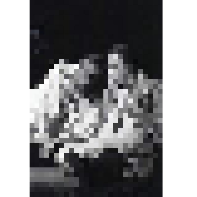 Негатив черно-белый. Борис Годунов - О.Н.Ефремов;  Федор Годунов - С.Ю.Шнырев. "Борис Годунов" (1994 г.)