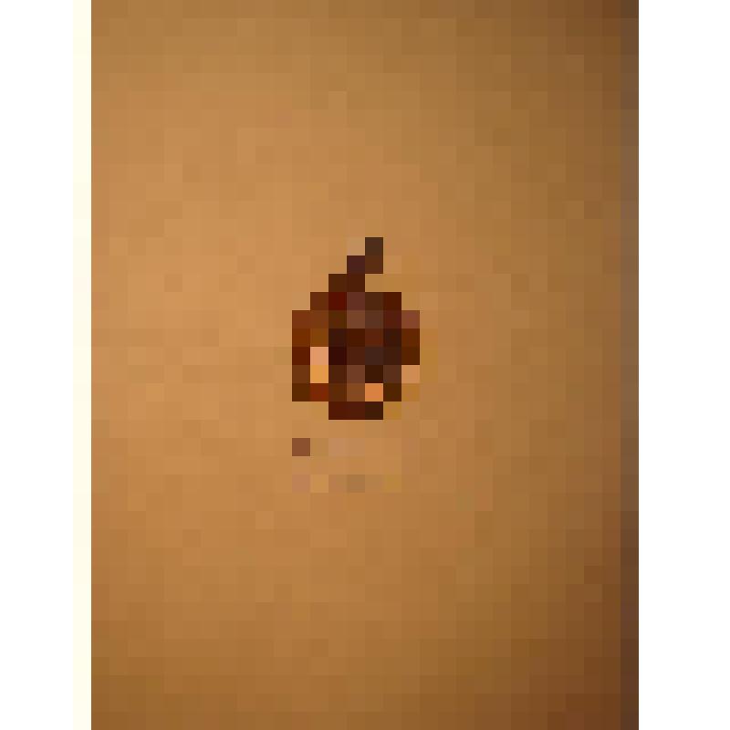 Жетон с изображением Л.Н.Толстого