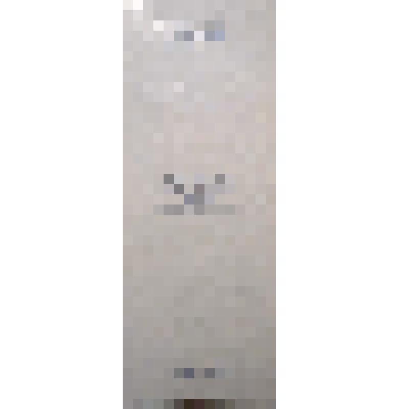 Набор Делегату третьего съезда Всероссийского хорового общества Луговенко Ивану Петровичу