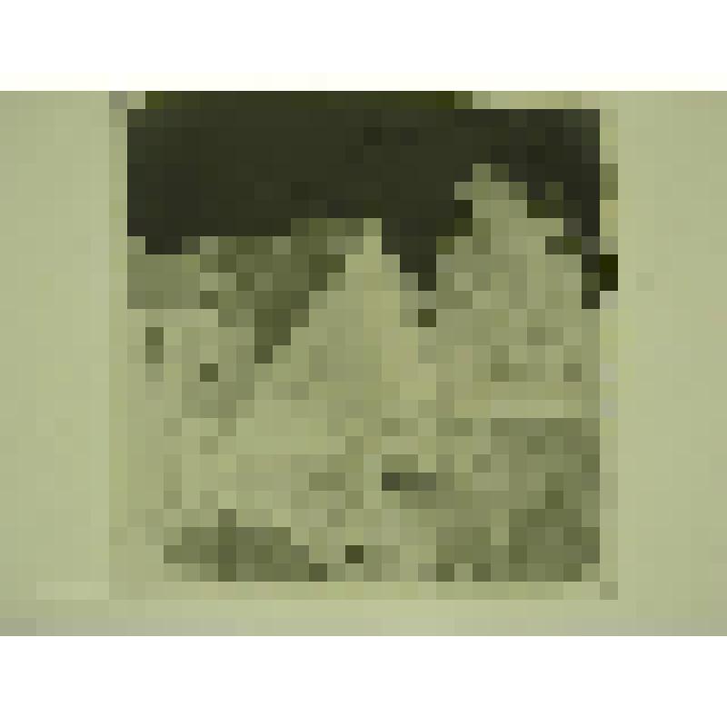 Дом Н.М.Беспалова. Ул. Привокзальная, 29. кон.XIX-нач.ХХ вв. Челябинская  обл., г. Карабаш, пос. Южный (с.Саймоновское). Дом Н.М.Беспалова. Ул. Привокзальная, 29. кон.XIX-нач.ХХ вв. Амбар. Торец со стороны привокзальной улицы