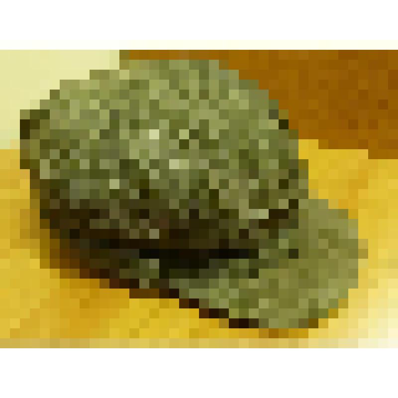 Кепка Рябикова М.И