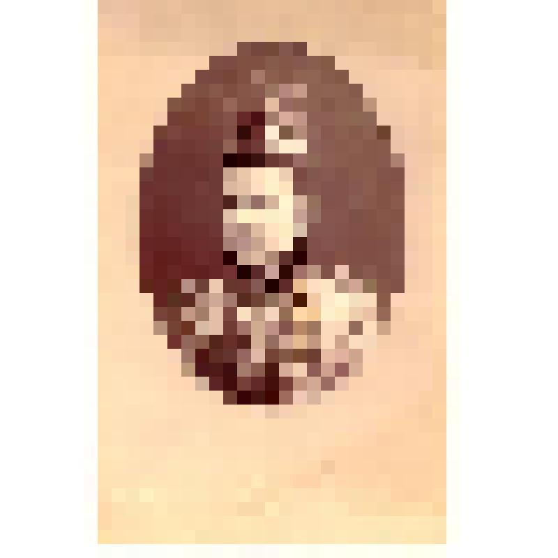 Фотография. Шульбер А.А