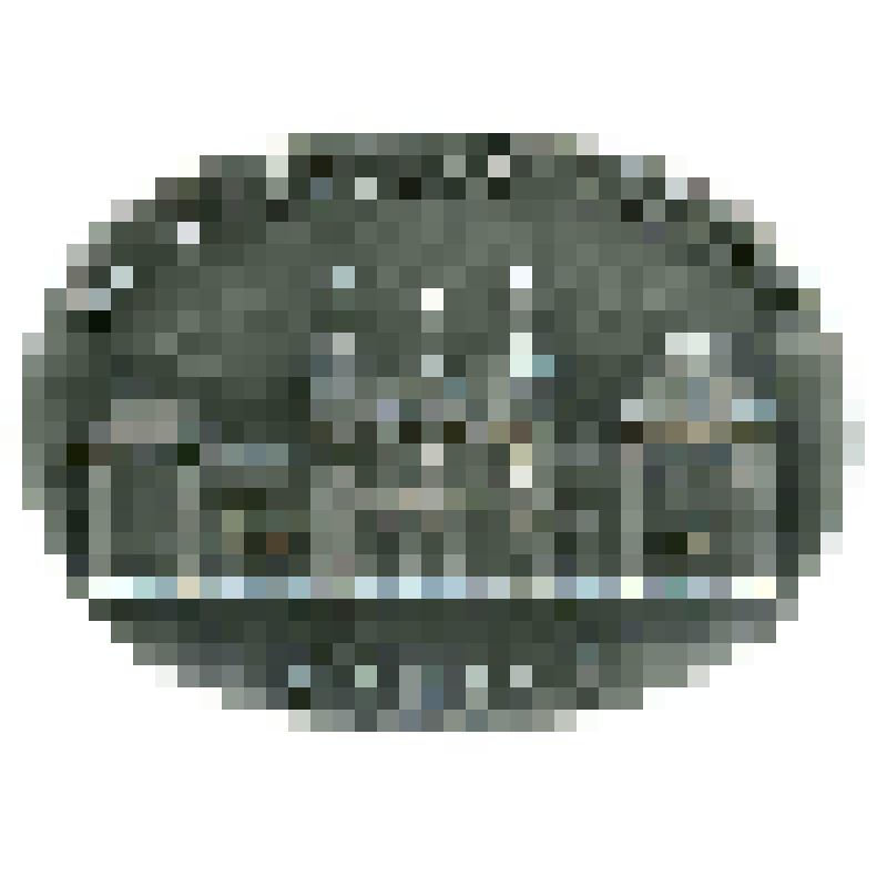 Значок. Москва. Белорусский вокзал, на булавке. СССР