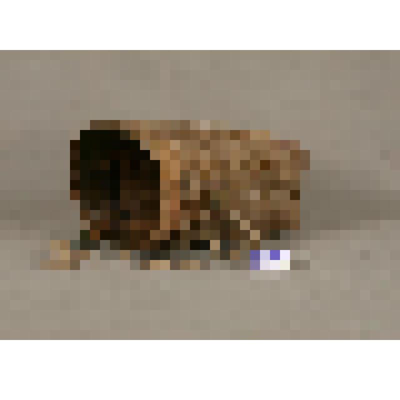 "Пестерь" - заплечный кузовок