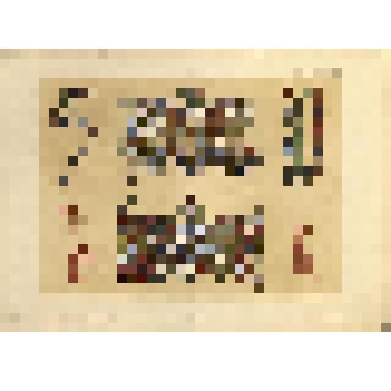 Лист PLLIII (53). Русский орнамент XV в. Из альбома «История русского орнамента. С X по XVI столетие. По древним рукописям»