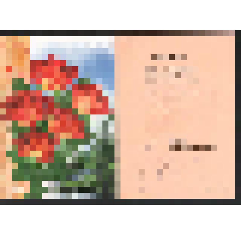 Поздравление сотрудников редакции детской республиканской газеты "Ӟечбур" Богомоловой З.А. с  85-летием