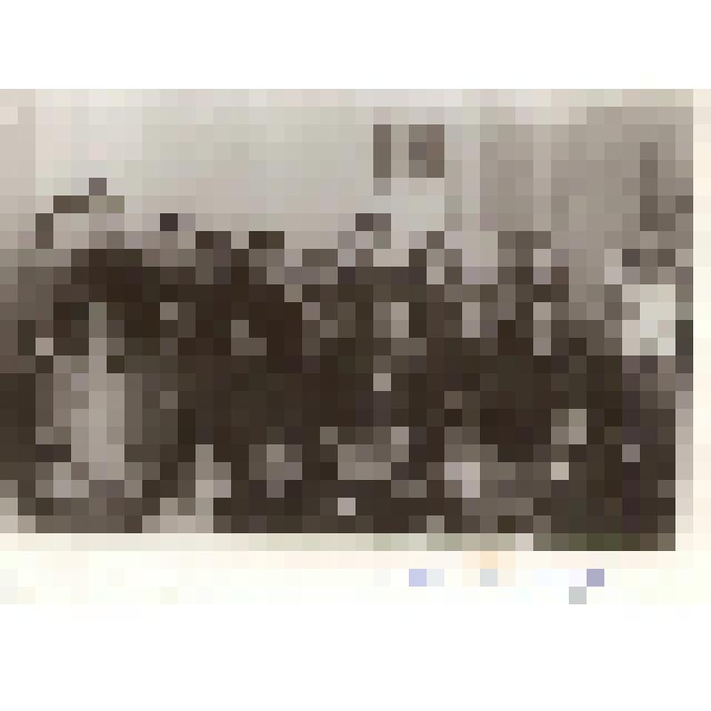 Фотография. Группа комсомольского актива завода 309 г. Чапаевска,военный завод. Среди них борчанка Ярыгина Надежда Павловна