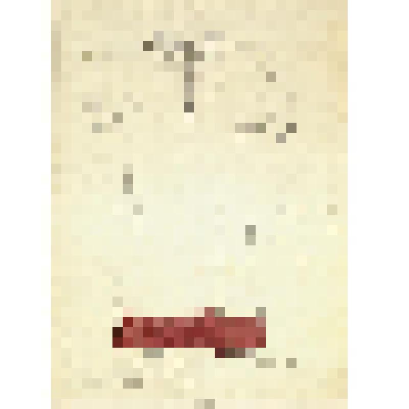 Зарисовка праздничной рубахи. Из альбома "Русская народная одежда". Часть 1