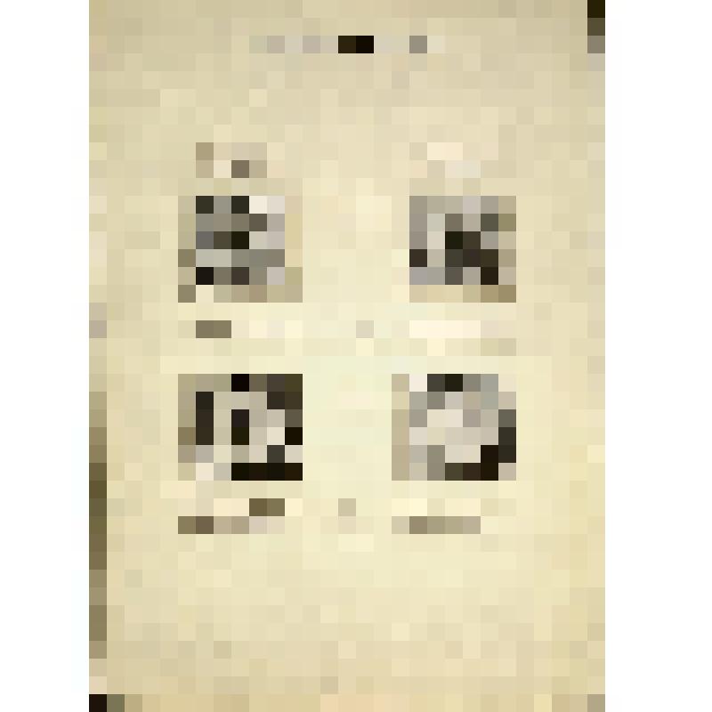 Таблица с четырьмя образцами вышивки. Из альбома «Образцы ручной и машинной вышивки»