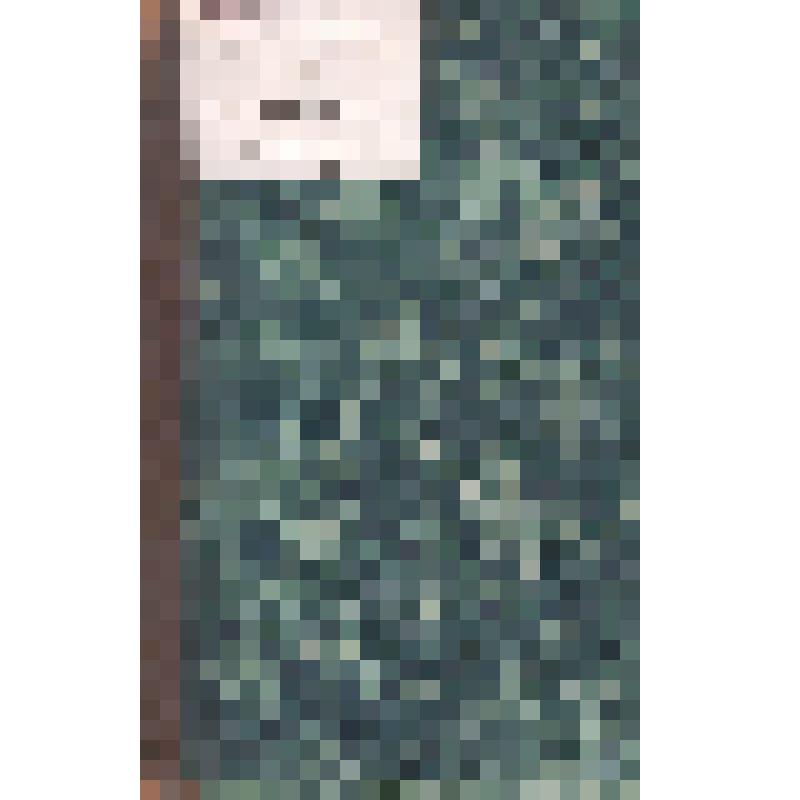 Журнал. Отечественные записки. Журнал литературный, политический и ученый. Т. 229. № 11.  СПб.: В типографии А.А. Краевского, 1876