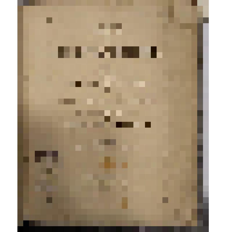 Musee de l'Ermitage Imperial. P. I. (Музей Императорского Эрмитажа. Ч. I.) - на франц. яз