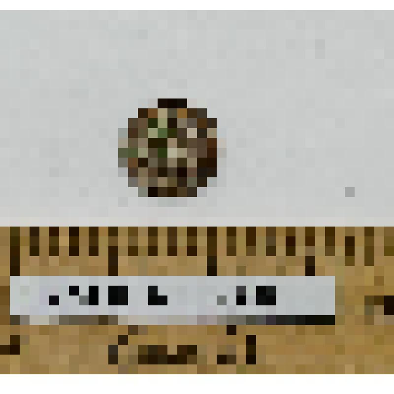 Монета. 5 копеек. Николай II Александрович (Романов). Романовы. Российская империя