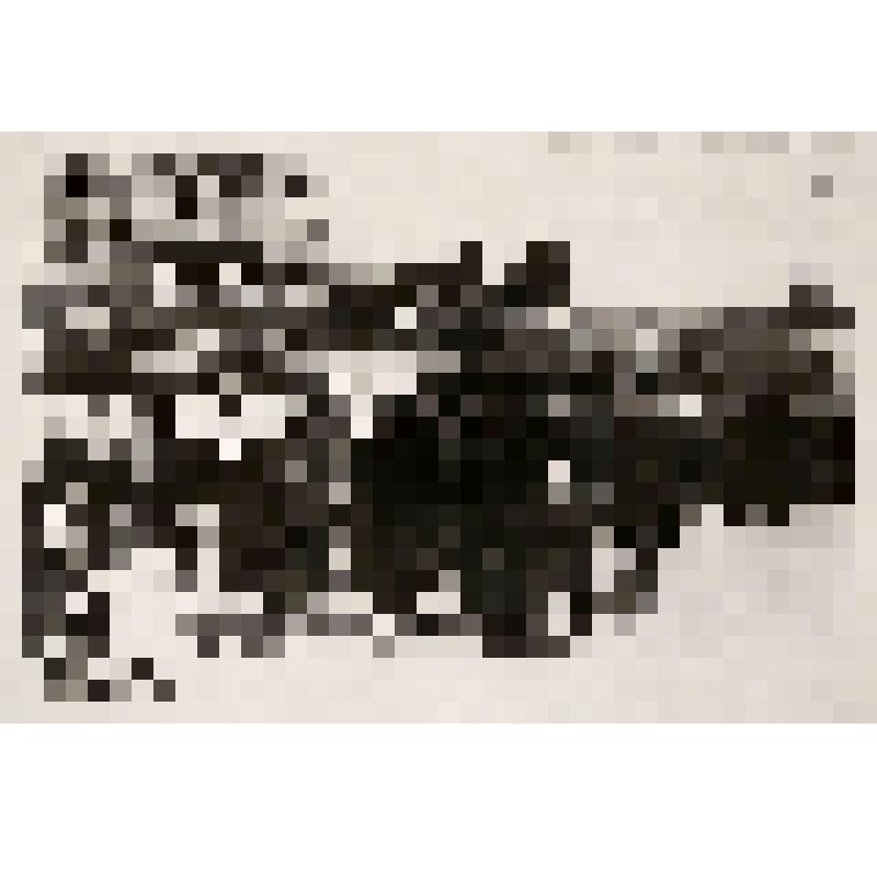 Фото. Первомайская демонстрация в г.Кургане