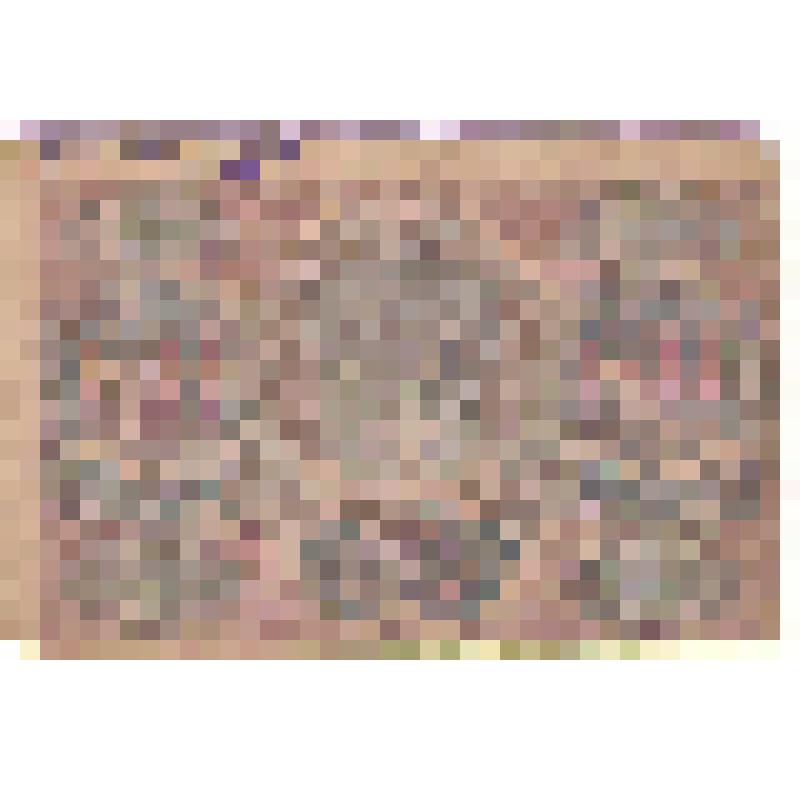 Банкнота бумажная "Расчетный знак. Шестьдесят рублей" серия АА - 063