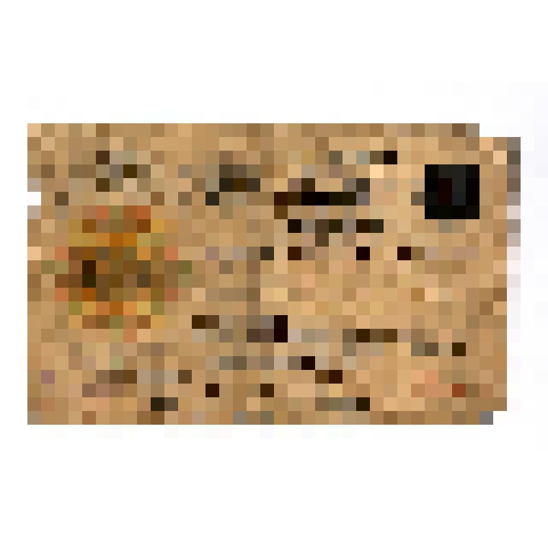 Банковский билет Один червонец