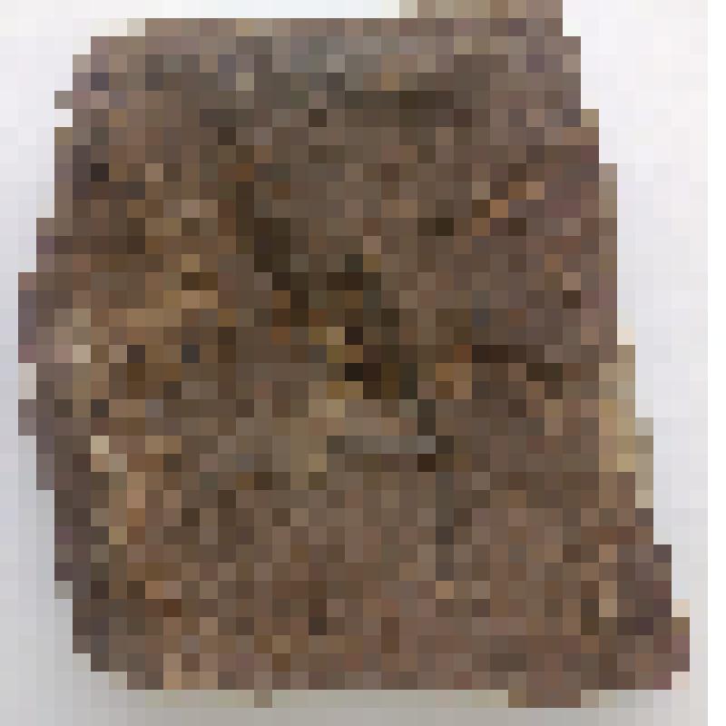 Феникопсис