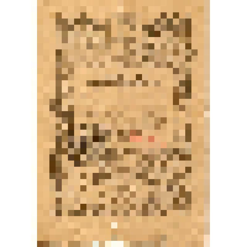 Благодарность. Верховного Главнокомандующего И.В. Сталина участнику боев в Восточной Пруссии  гв. старшине Парфиновичу Ю.М. за овладение г. Фридланд