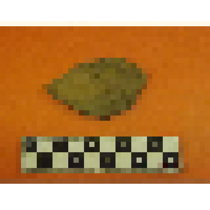 фрагмент керамики гладкостенной