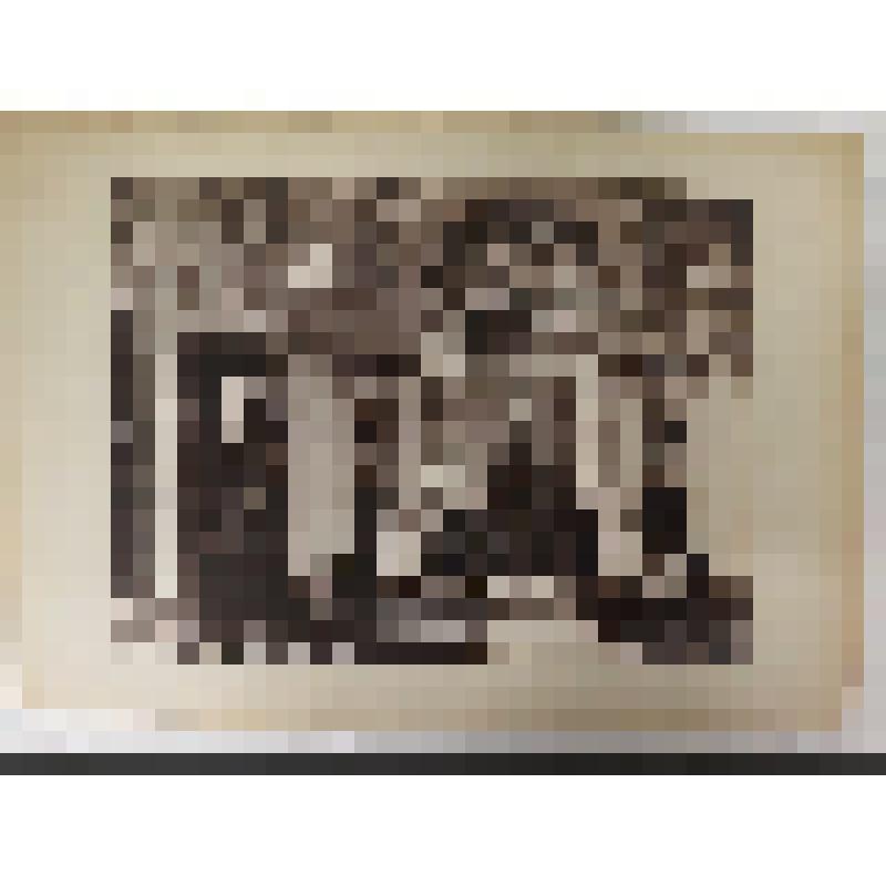 Топографическая фотография: Венеция. Интерьер собора Джезуати