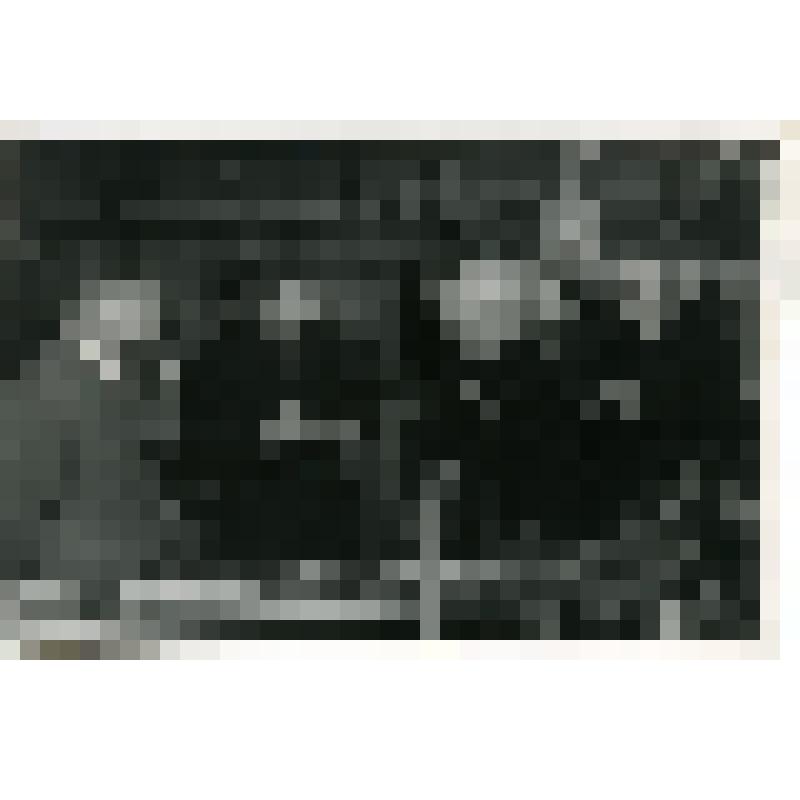 Пребывание правительственной делегации во главе с Хрущевым Н.С. на I Гос. подшипниковом заводе