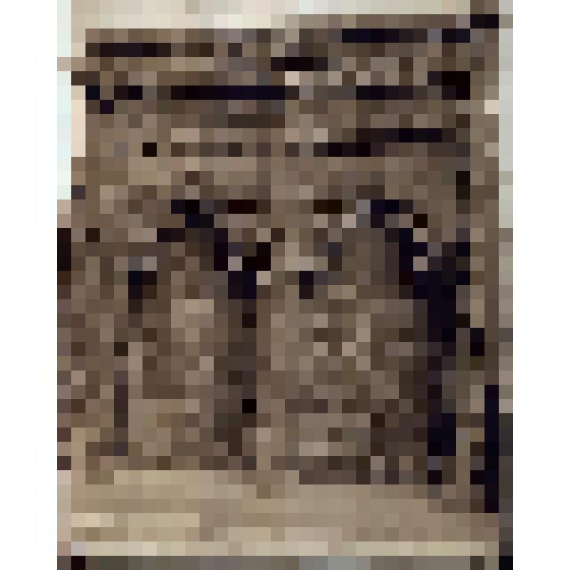 Негатив на стеклянном носителе. Ворота резные. Индийцы, сикхи