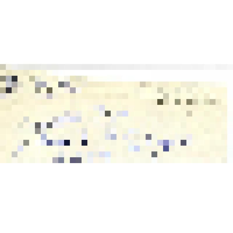 Телеграмма. Федин Константин Александрович. Адресат: Лебеденко Александр Гервасьевич. Переделкино - Ленинград г. Черновой автограф