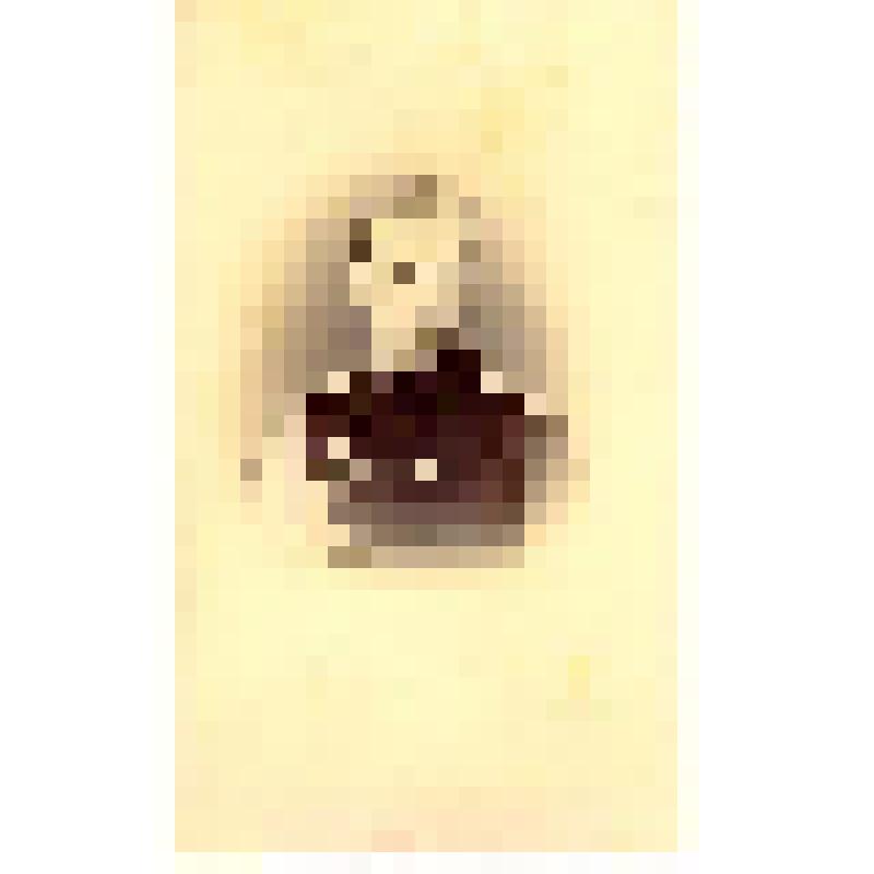 Фотография. Офицер