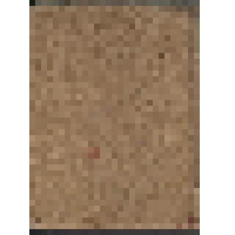 книга. Книга "Великая реформа: Русское общество и крестьянский вопрос в прошлом и настоящем" 19 февраля 1861-1911 г. Редакция А.К. Дживелегова, С.П. Мельгунова, В.И. Пичета. Юбилейное издание, Т.1. Издательство товарищества И. Д. Сытина - Москва, 1911, 26