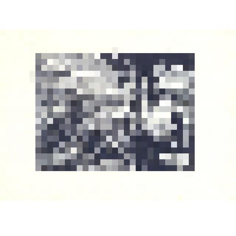 Лето. Обложка