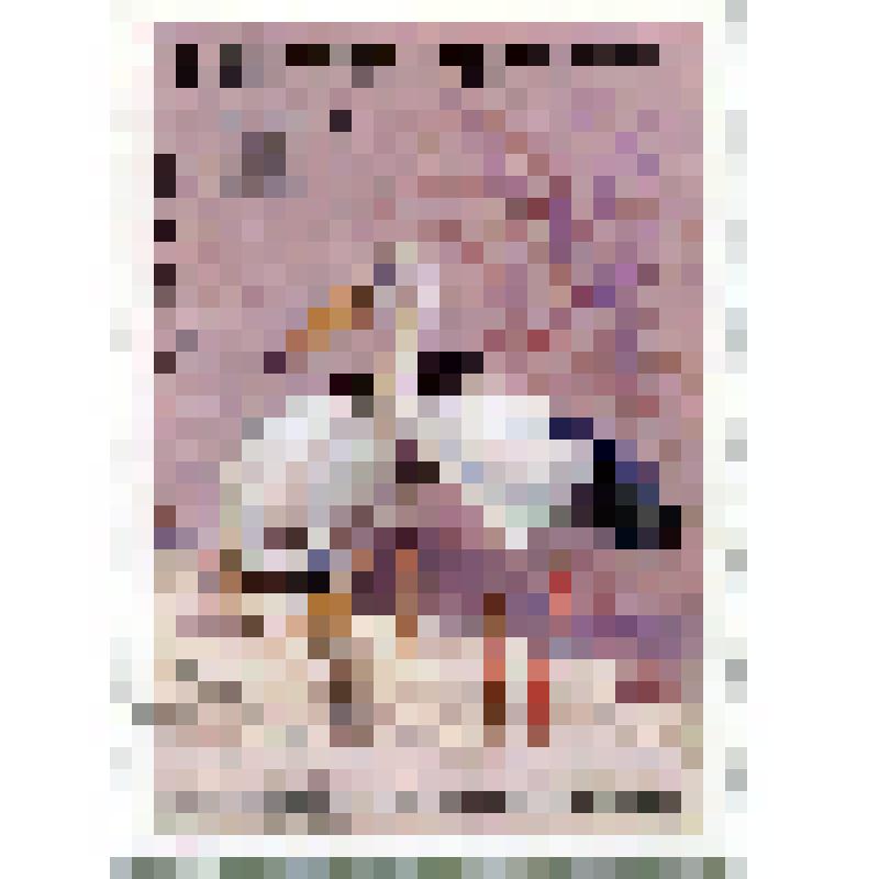 Марка почтовая. Птица аист-разиня индийский (Anastomus oscitans). Номинал 10 вьетнамских донгов