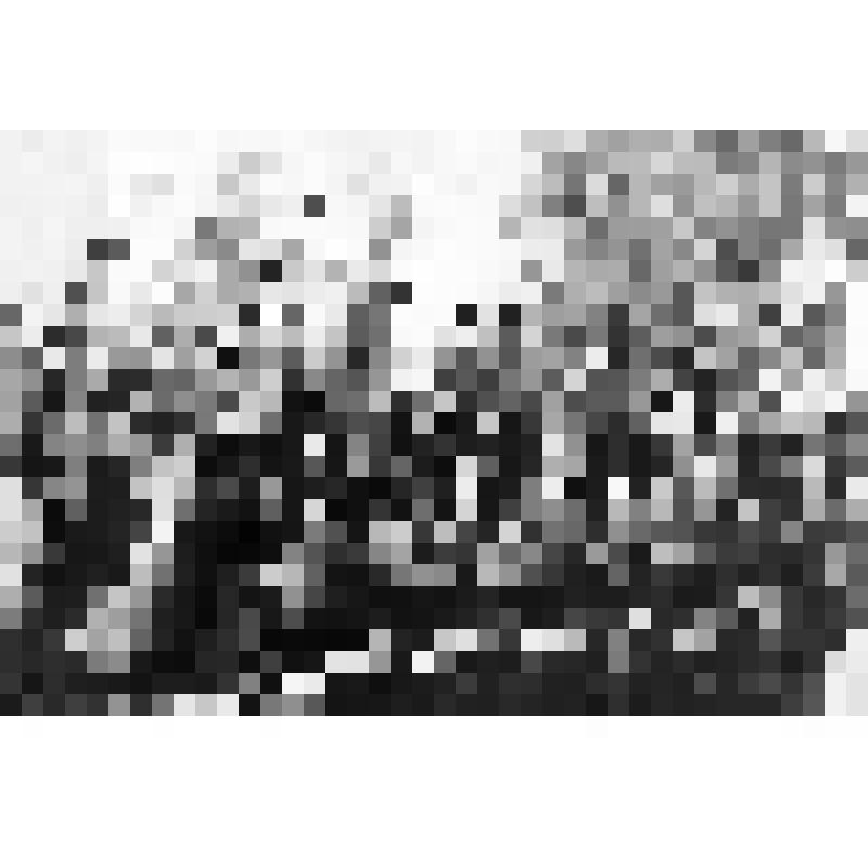 Фотография. Залп в память погибшим красногвардейцам