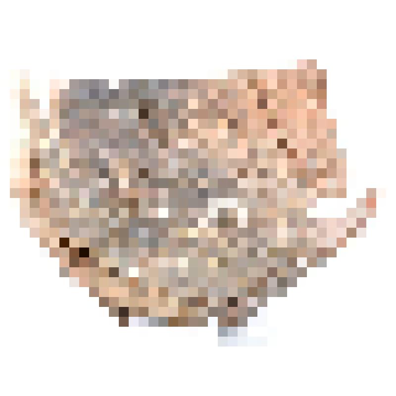 Горшок