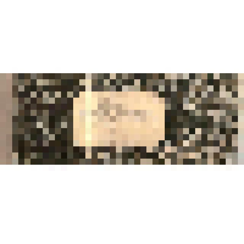 Книга для выдачи накладных по отправке материалов на постройки Чердынского купца Г.П.Гусева, 1897 - 1898 гг