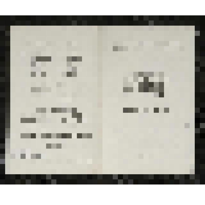 Программа. "Иван Сусанин" (Дирижер - Небольсин В.В. Режиссер - Баратов Л.В. Художник - Вильямс П.В.). Москва. Государственный академический Большой театр СССР