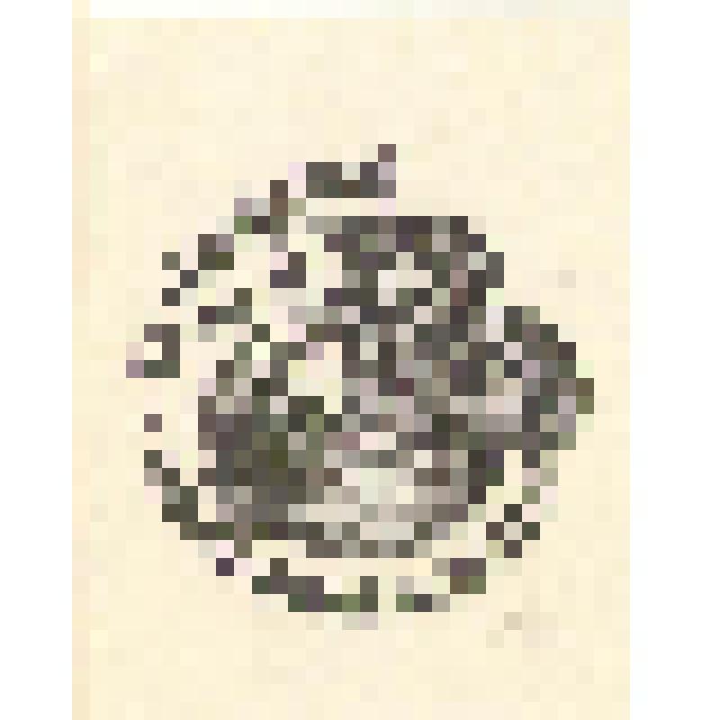 экслибрис. Экслибрис О.В. Соболевского. Коллекция экслибрисов из архива Г.Н. Петникова