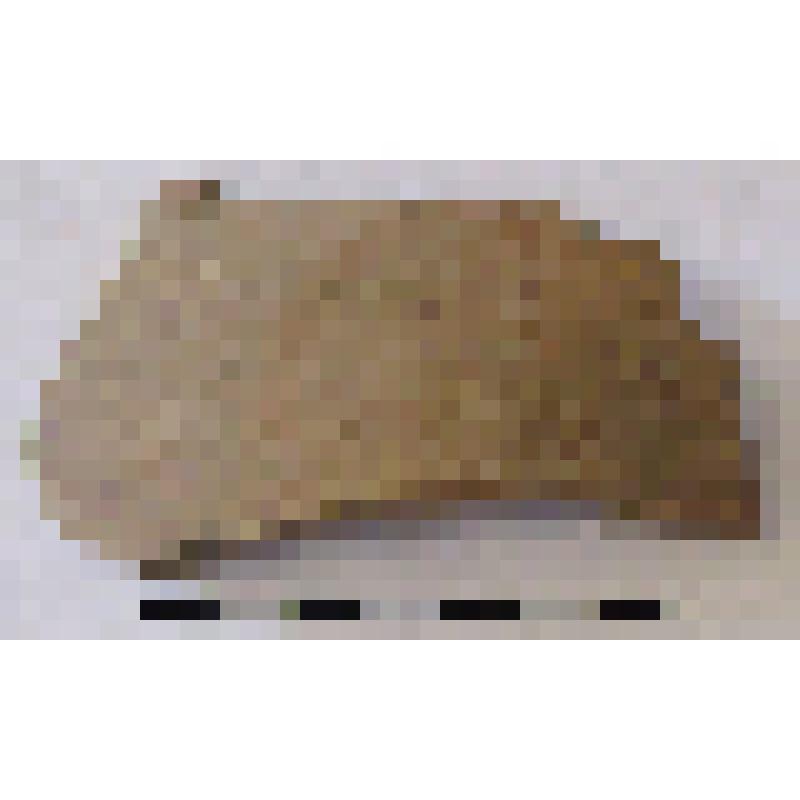 Фрагмент плеча амфоры типа D с дипинто